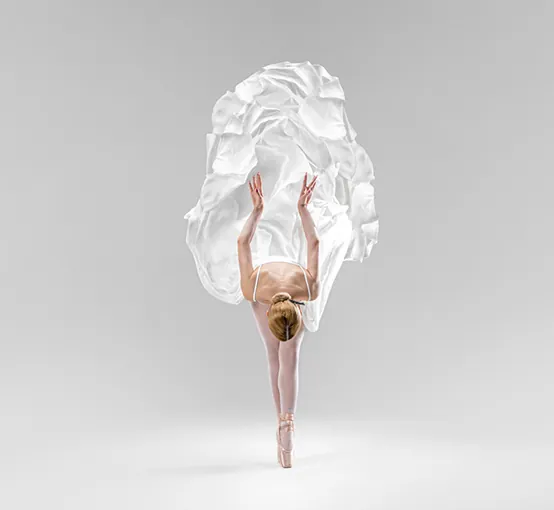 brochure image